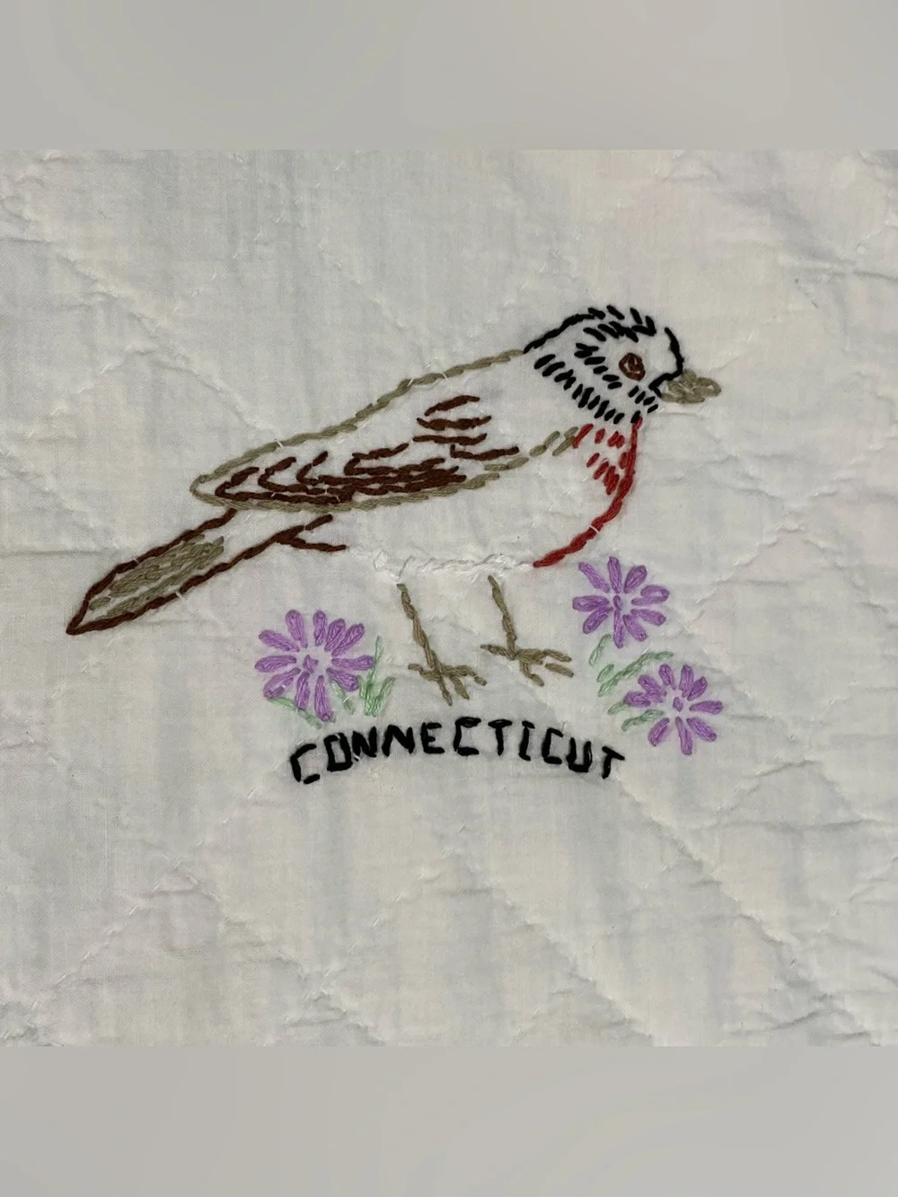 Vintage Embroidered State Bird Quilt 71” x 84”